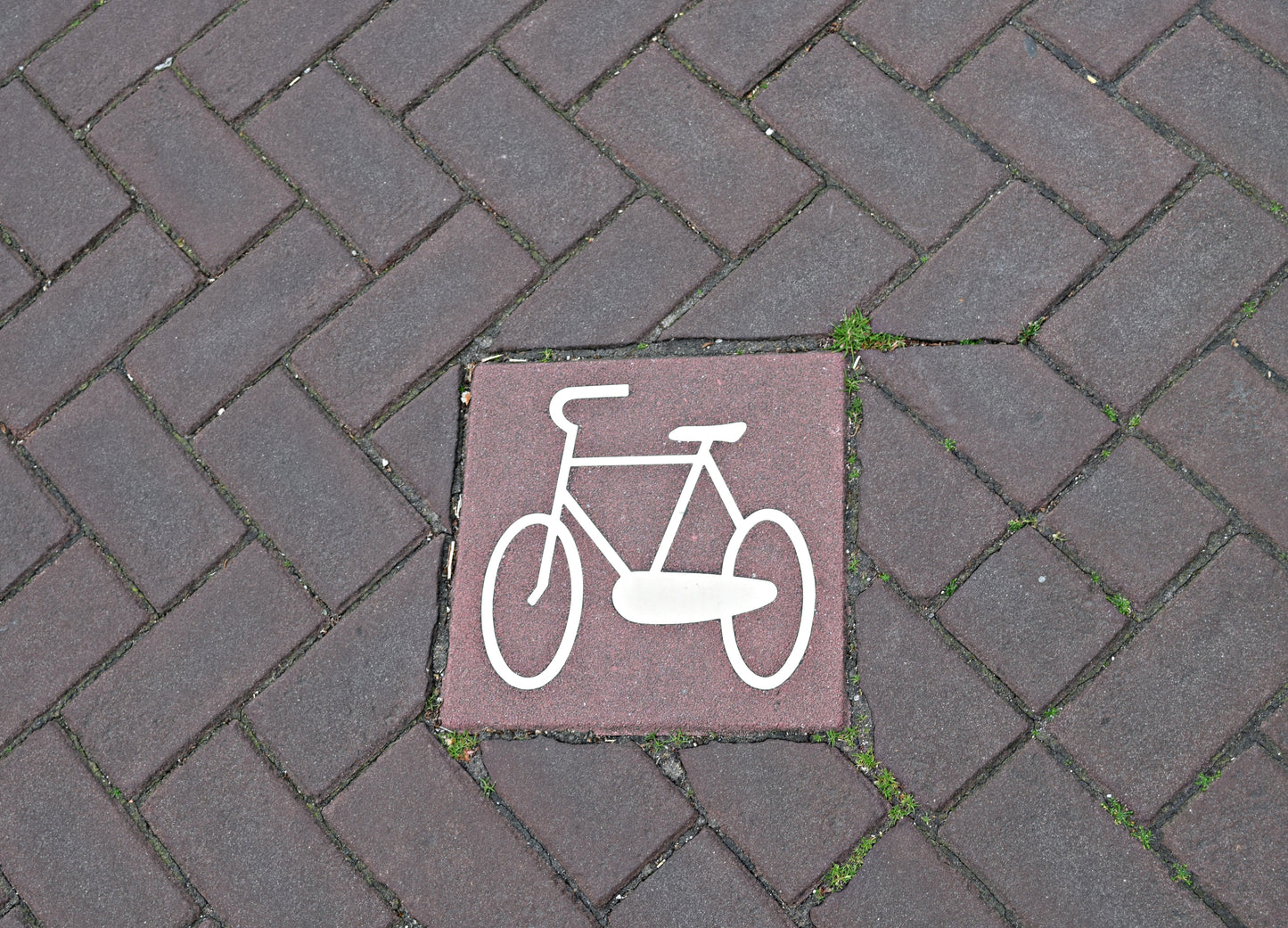 "Fahrradweg" Fotografie digitale Datei Street Art
